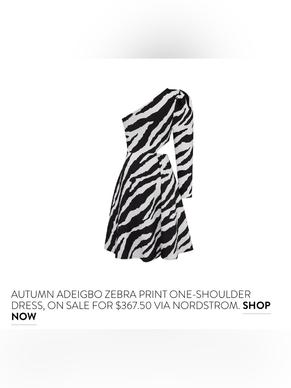 NWT Autumn Adeigbo zebra print one shoulder dress